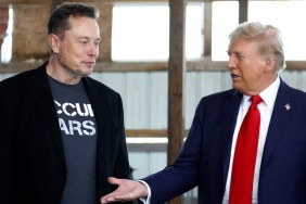 Yes, Donald Trump Has Asked Elon Musk To Help US Government