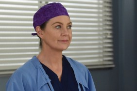 Why There’s No New Grey’s Anatomy Season 21 Episode on November 28