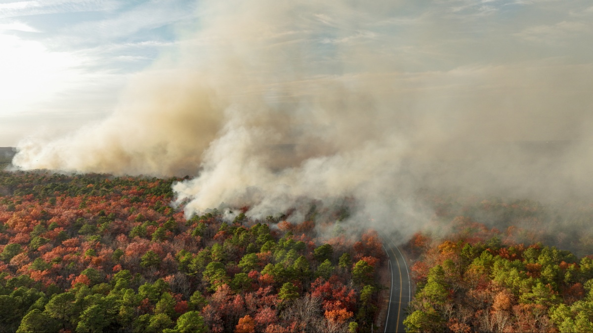 New Jersey Wildfire Map Shows Extent of Damage