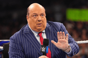 WWE Hall of Famer Paul Heyman