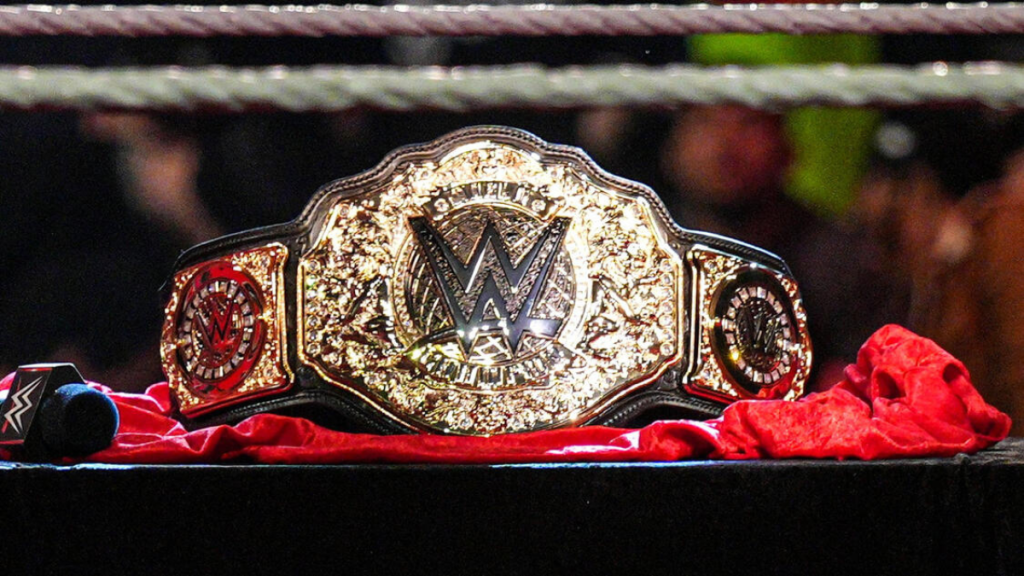 Former WWE World Heavyweight Champion opened up about his post wrestling plans