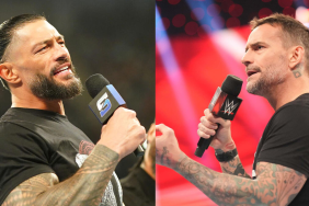 WWE Superstars Roman Reigns and CM Punk