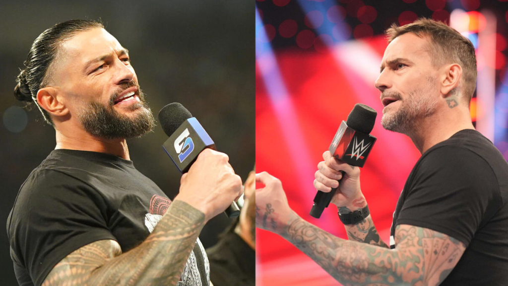 WWE Superstars Roman Reigns and CM Punk