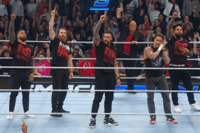 WWE Superstar CM Punk will team up with the original Bloodline at Survivor Series: WarGames