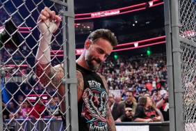 CM Punk could feature in a major match at WWE Survivor Series: WarGames