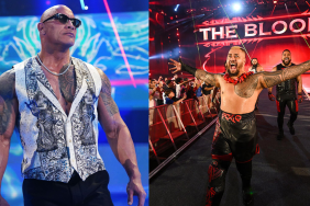 The Rock and Solo Sikoa have been part of WWE's faction The Bloodline