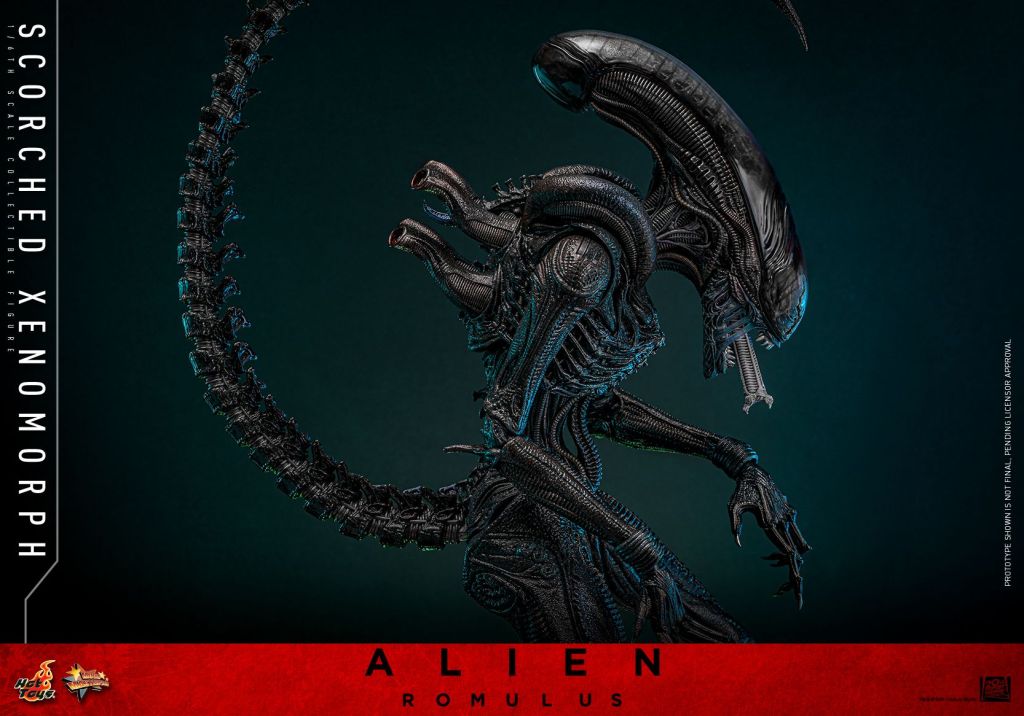 Alien: Romulus Xenomorph Hot Toys Figure Unveiled, Available for Preorder Now