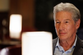 Who Is Richard Gere's Wife? Alejandra Silva's Job & Relationship History