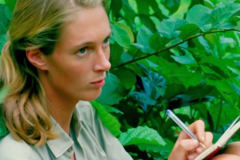 Jane Goodall taking notes in the documentary Jane