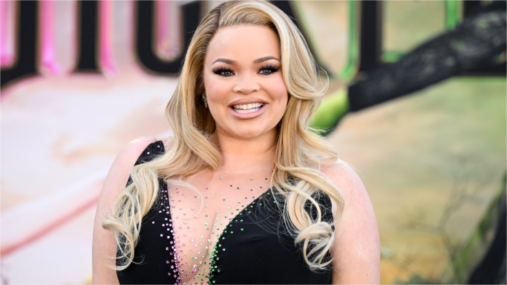 Who Is Trisha Paytas' Husband? Moses Hacmon's Kids & Relationship History