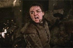 Why Fans Think Arya Stark’s West of the World GoT Spin-off Is Real