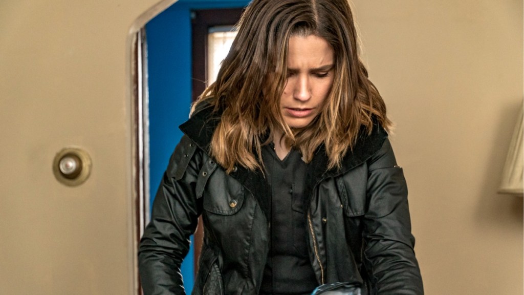 Why Did Sophia Bush’s Erin Lindsay Leave Chicago PD?