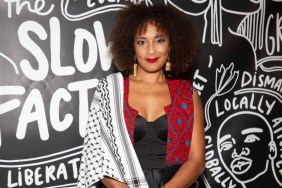 Why Did Amanda Seales' Show Get Canceled?