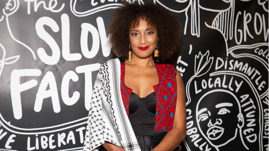 Why Did Amanda Seales' Show Get Canceled?