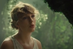 Make Your Own Taylor Swift Folklore Cabin With These Videos