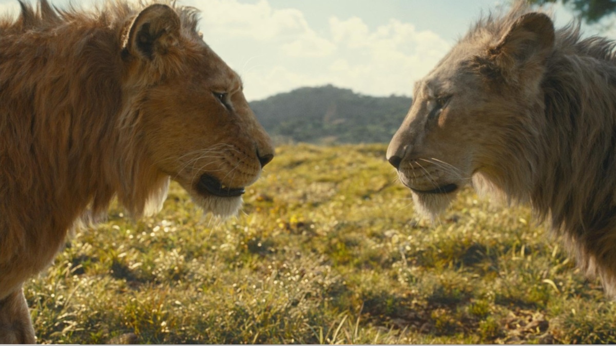 Mufasa: The Lion King’s Reviews Lead to Mediocre Rotten Tomatoes & Metacritic Scores