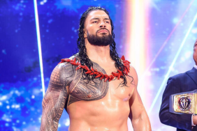 Where is Roman Reigns headed in the WWE transfer window RAW or SmackDown?