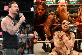 WWE RAW Superstars CM Punk and The Wyatt Sicks.