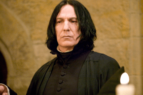 Harry Potter HBO Show Finds Its Severus Snape