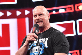 Stone Cold's appearance was teased for WWE RAW Netflix Premiere.