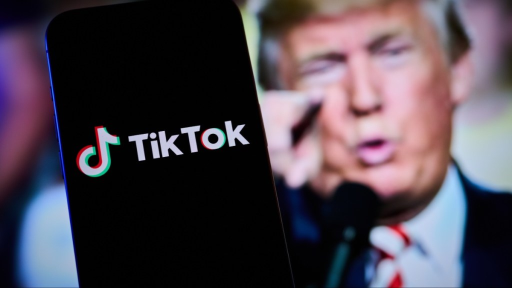 Donald Trump TikTok ban US president