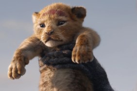 Is There a The Lion King 3 Release Date & Is It Coming Out?