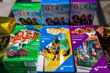 The Girl Scout Discontinues 2 Flavors of Cookies After This Season