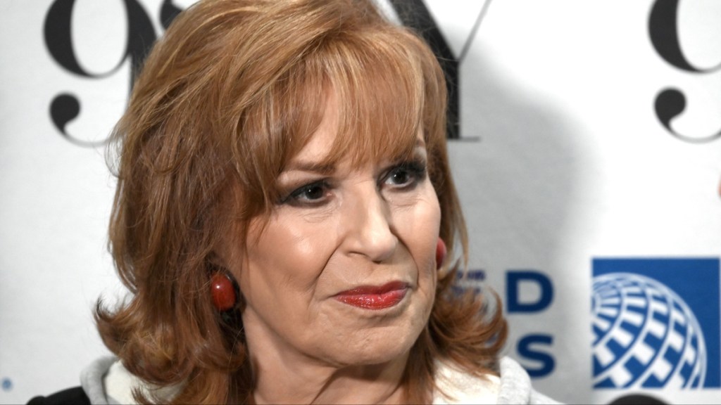 Who Is Joy Behar's Husband? Steve Janowitz's Job & Relationship History