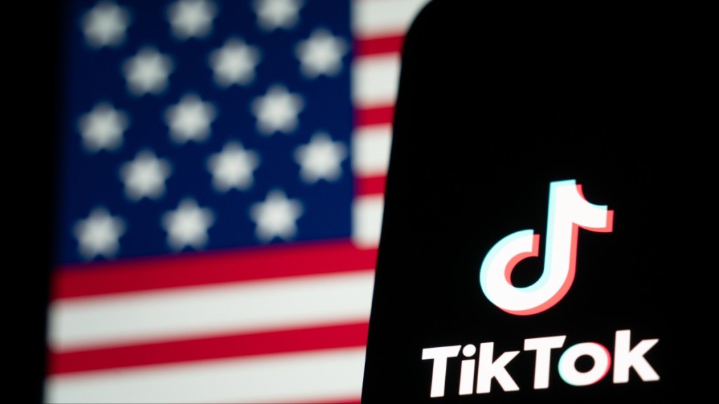 Why Is 'Goodbye to my Chinese Spy' Meme Trending on TikTok Amid Ban?