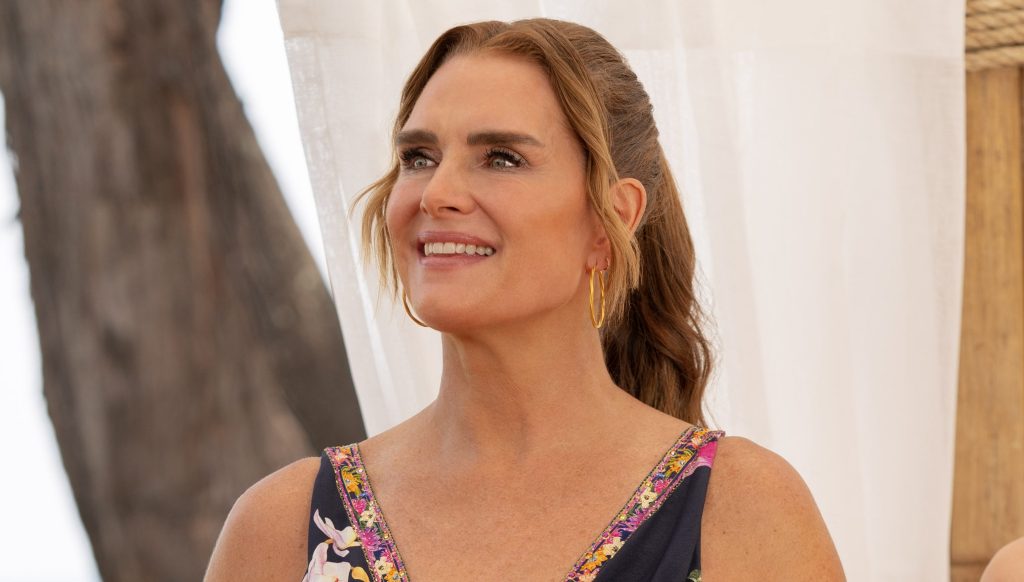 All's Fair Cast: Brooke Shields Joins Hulu's Kim Kardashian Legal Drama