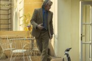 The Penguin Lessons Release Date Set for Steve Coogan Movie