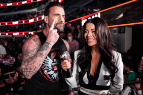 CM Punk took a massive shot on Hulk Hogan on WWE RAW.