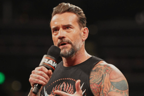 CM Punk will be in action at WWE Royal Rumble 2025.