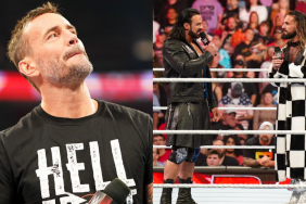 WWE RAW Superstars CM Punk, Seth Rollins and Drew McIntyre.