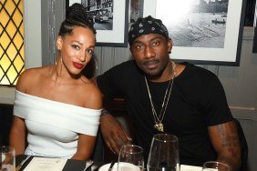 Who Is Amar'e Stoudemire's Ex-Wife? Alexis Welch's Job & Relationship History