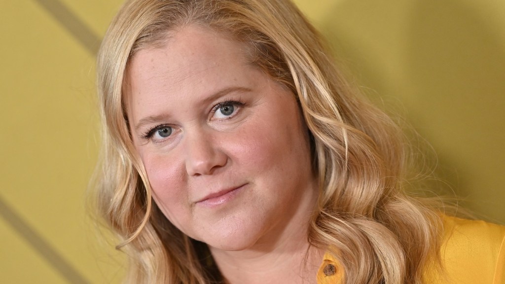 What Is Moon Face Amy Schumer Cushing Syndrome Disease Causes