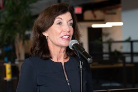 Who Is Kathy Hochul's Husband? Bill's Job & Relationship History