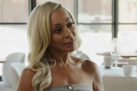 RHOP Star Karen Huger Sentenced to Jail for DUI — Report