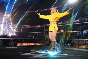 WWE's Charlotte Flair Drops a Thank You Note Amid Divorce News