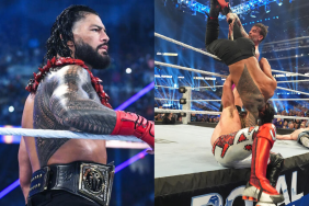 Roman Reigns Questions CM Punk’s Actions at WWE Royal Rumble 2025