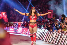 Nikki Bella Drops Major Update on Her WWE Status After Royal Rumble 2025