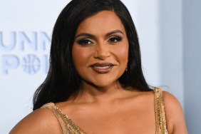 Mindy Kaling Comedy Show Not Suitable for Work Gets Hulu Series Order