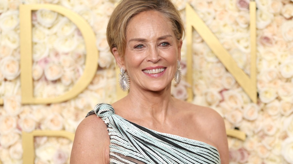 Euphoria Season 3's Sharon Stone Issues Statement, Confirms Casting