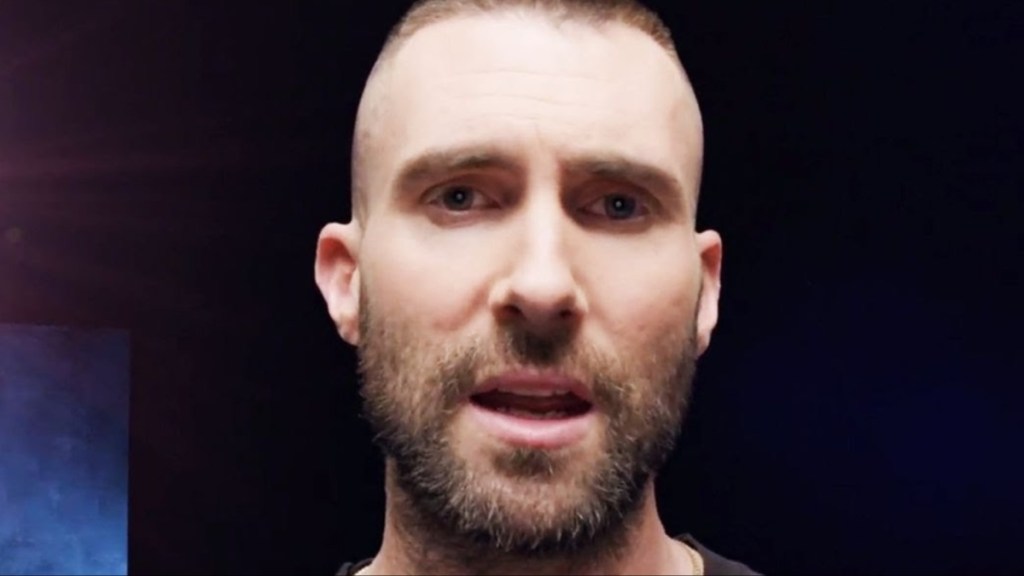 Adam Levine Net Worth 2025: How Much Money Does He Make?