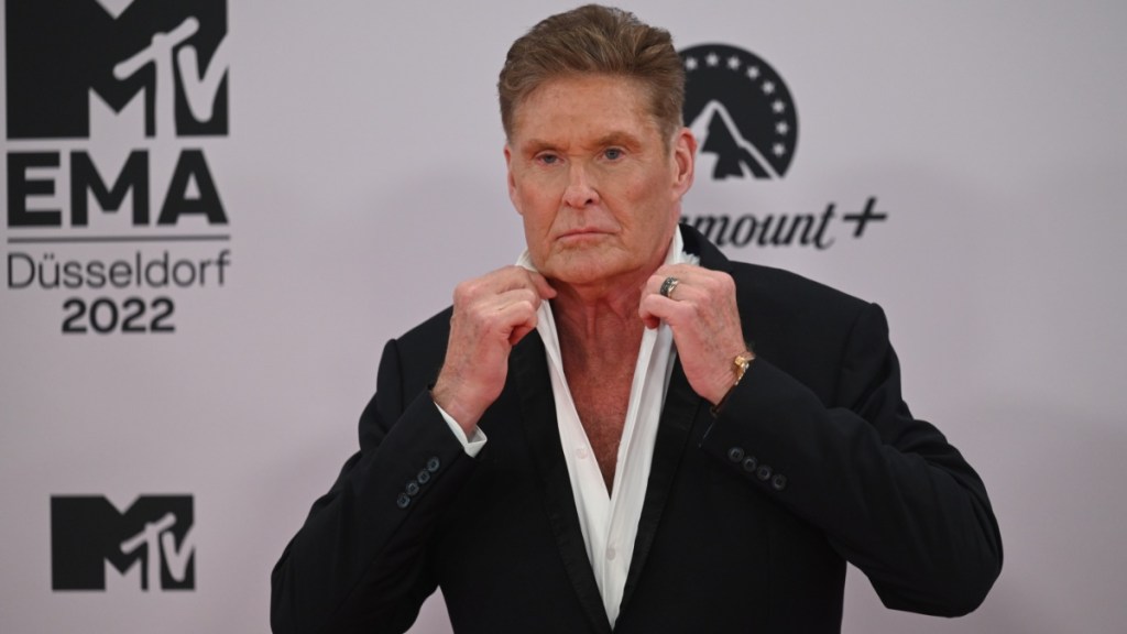 David Hasselhoff Net Worth 2025: How Much Money Does He Make?