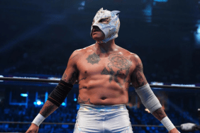 Major Update on WWE’s Interest in Rey Fenix After AEW Departure