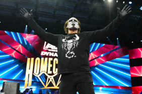 WWE Pushing for Sting’s Appearance at Hall of Fame 2025 — Latest Report