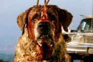 Netflix’s Cujo Update: Acclaimed Director in Talks for Stephen King Movie